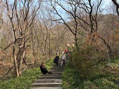 -句容茅山景区