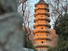 -灵谷景区