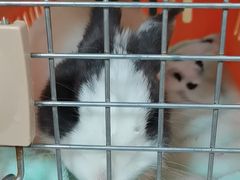 -惠康宠物医院(华能路店)