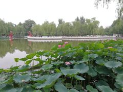 -丰台花园