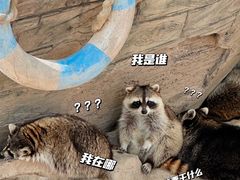 -上海野生动物园