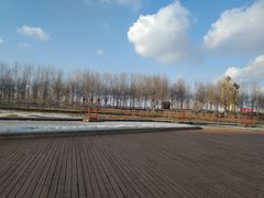 -哈尔滨音乐公园