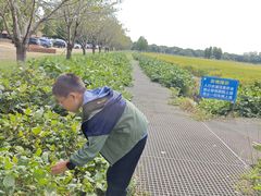 -祝甸砖窑文化馆
