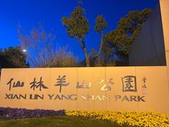 -羊山湖公园