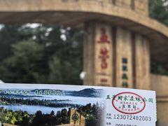 -五营红松林海景区