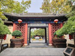 -大槐树寻根祭祖园