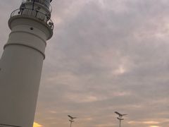 -VENU+海景酒廊
