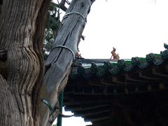 -晋祠博物馆
