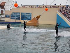 -秦皇岛乐岛海洋王国