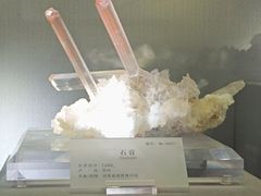-湖南省地质博物馆