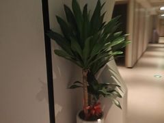 -荔湾足浴·按摩·SPA会所(龙华店)