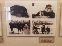 -北京动物园-畅观楼