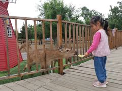 -北京鹿世界主题园