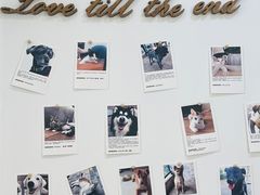 -经福元·推拿·艾灸(广兰路店)