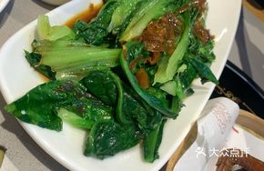 Red Onion Oil Lettuce