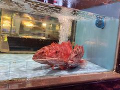 -阿伟海鲜楼·福建菜(延寿店)