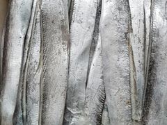 -中国舟山国际水产城