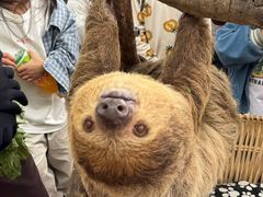 -杭州野生动物世界