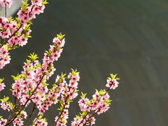 -尚贤河湿地