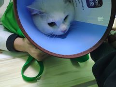 -圣宠动物医院·犬猫专科·影像中心·外科中心