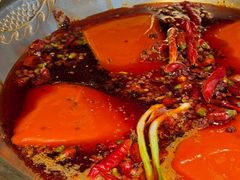 -小龙坎火锅(春熙太古里店)