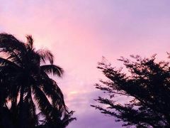 android_upload_pic-三亚亚龙湾红树林度假酒店