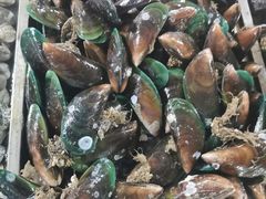 -羊栏农贸市场(羊新路店)
