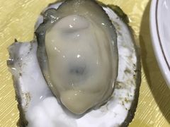 -蚝家菜馆(沙井店)