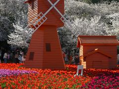 -苏州上方山国家森林公园