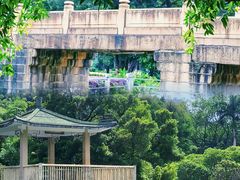 -晓港公园