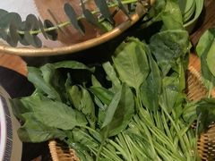 -巴奴毛肚火锅(广益哥伦布店)