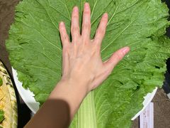 -嘎吧锅私家菜馆(新村十区店)