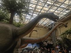 -国家自然博物馆