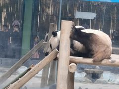 -栾川竹海野生动物园