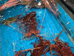-盒马鲜生(皇庭广场店)