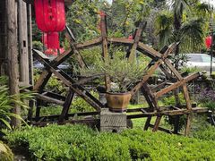 -青城甲(青城山店)