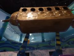 -青岛嘉年华主题乐园