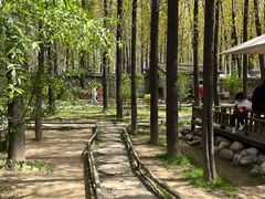 -林间山庄