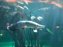 -华夏文旅海洋公园