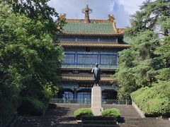 -紫金山山顶公园
