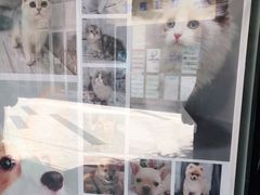 -1013 PET SHOP 宠物商店(近铁城市广场店)