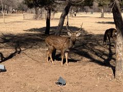 -承德避暑山庄景区