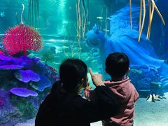 -沈阳海洋探索中心