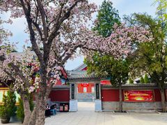 -天津大悲禅院