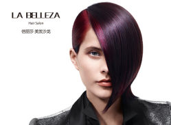 002(1)-LA BELLEZA倍丽莎美发沙龙