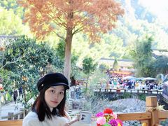 -林坑古村落