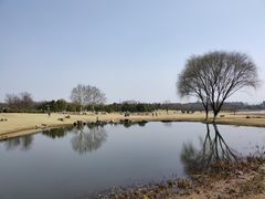 -钟山体育运动公园