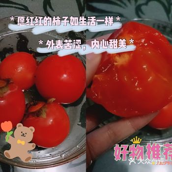 又到了吃柿子的季节， 每次看到挂满柿子树的柿子都很有