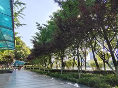 -后襄河公园