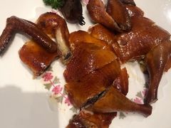 吊烧脆皮鸡-顺峰(农展馆店)